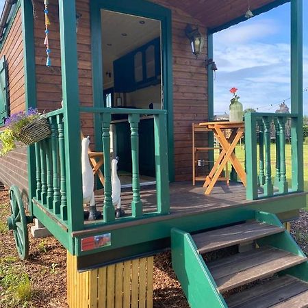 Pia B&B Babbita Hasselt Ngoại thất bức ảnh