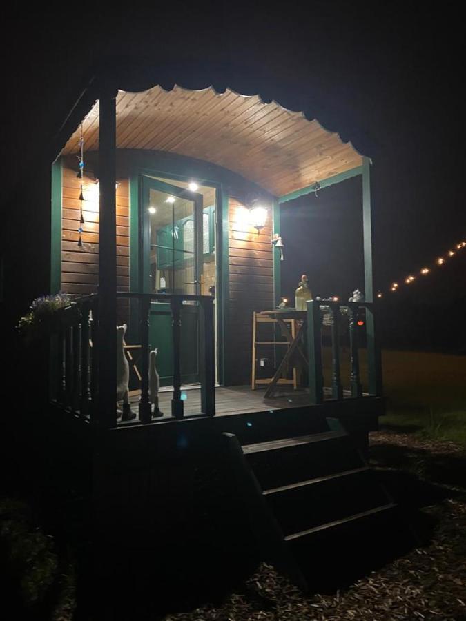 Pia B&B Babbita Hasselt Ngoại thất bức ảnh